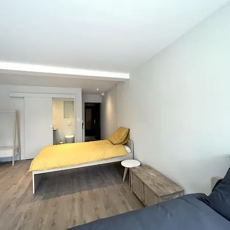 Maison 15 Personnes Périphérie De Clermont-ferrand * Romagnat